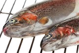 _MG_6593_trouts_grill