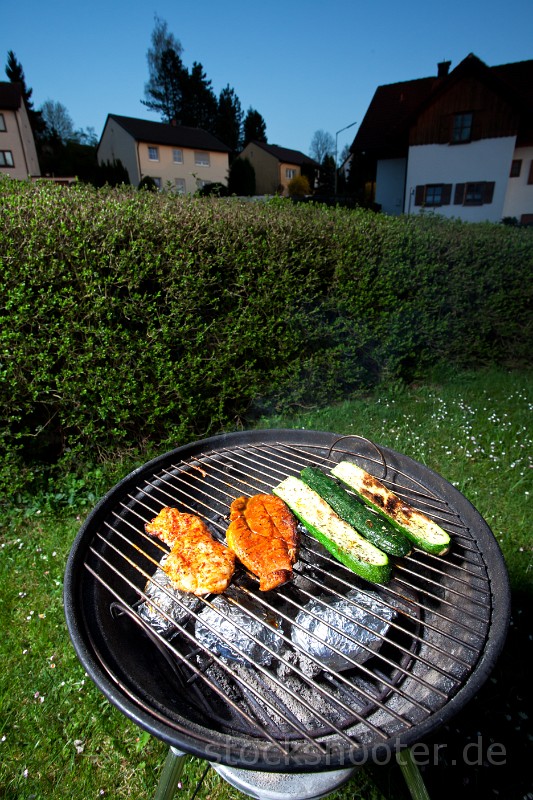 _MG_4413_grill.jpg - pork steak and zucchini on a grill outdoors