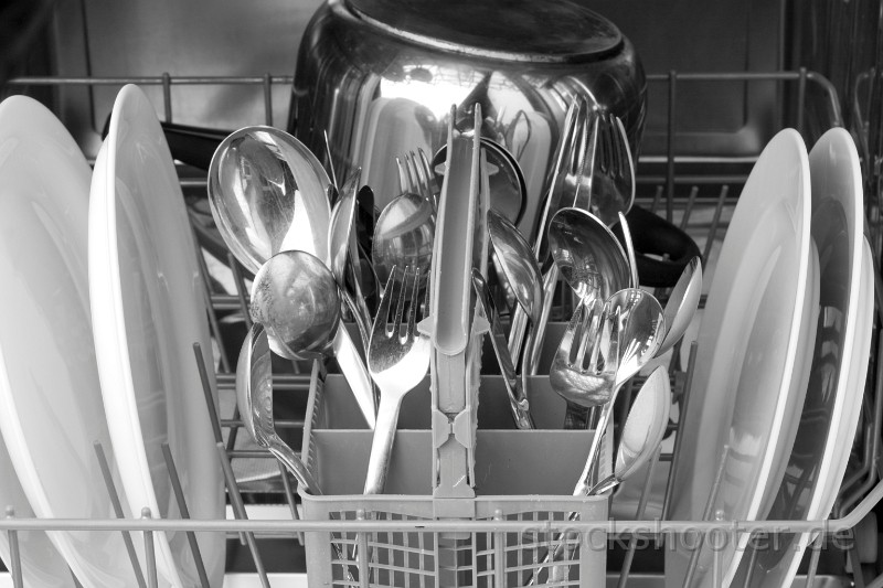 IMG_8621_dishwasher_ala.jpg - dinnerware and cutlery inside a dishwasher